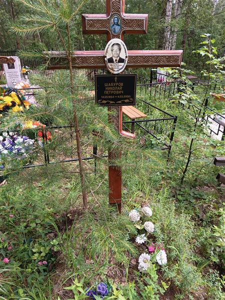Шабуров Николай Петрович