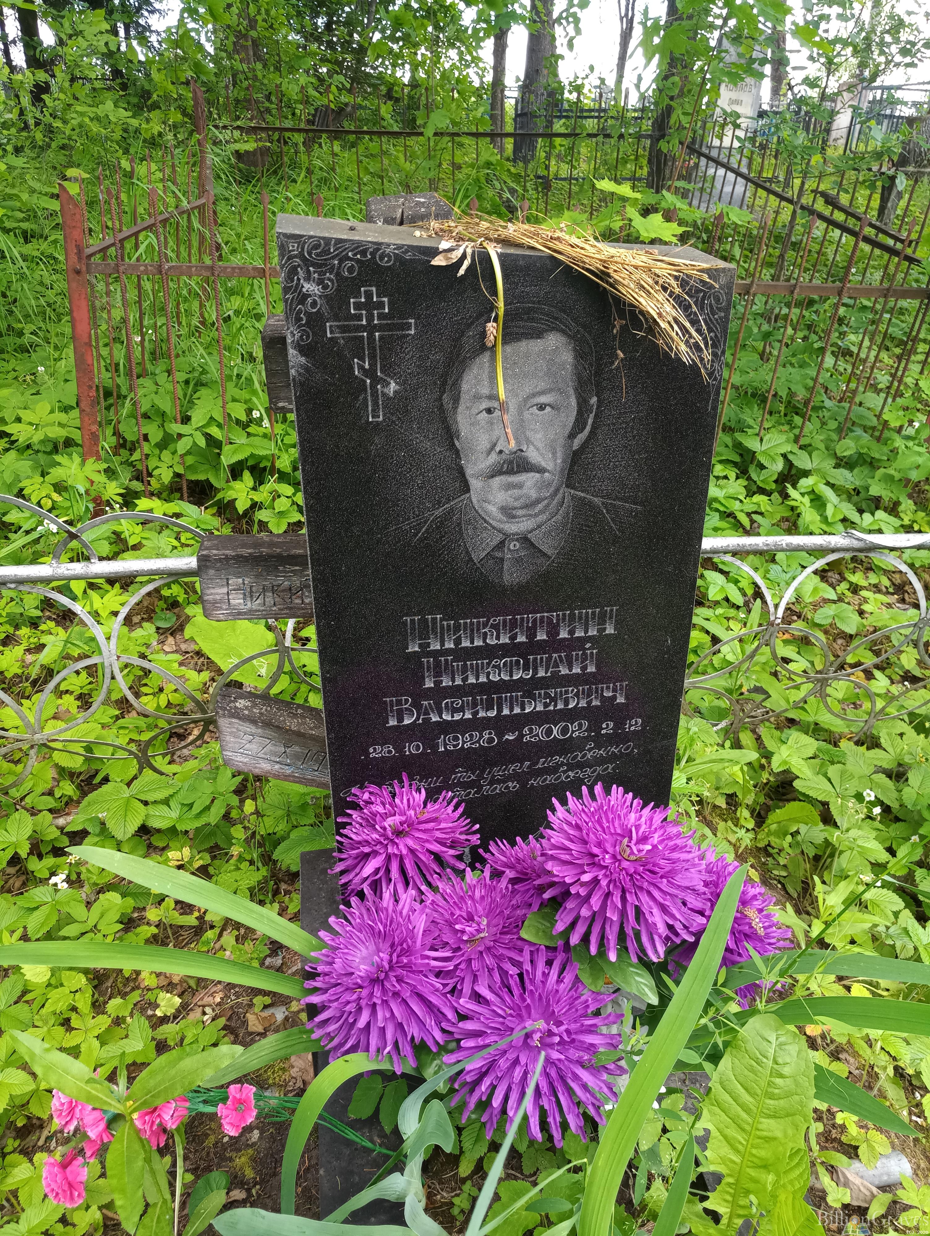 Никитин Николай Васильевич