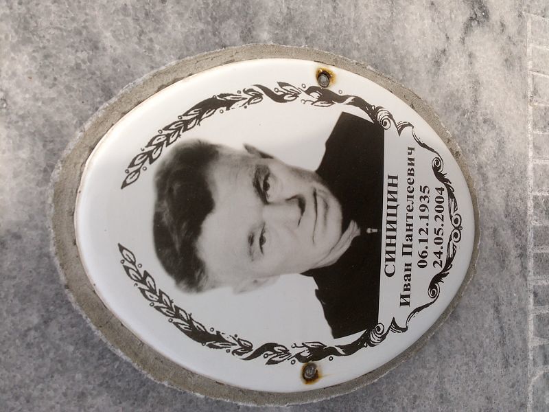 Синицин