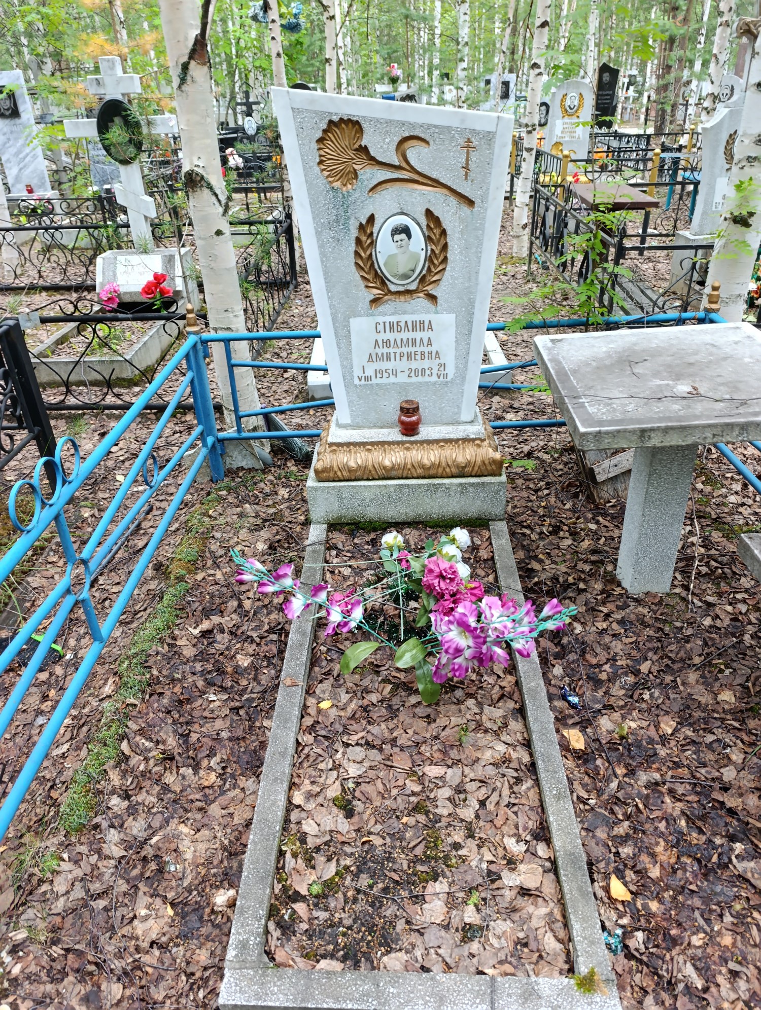 Стиблина Людмила Дмитриевна