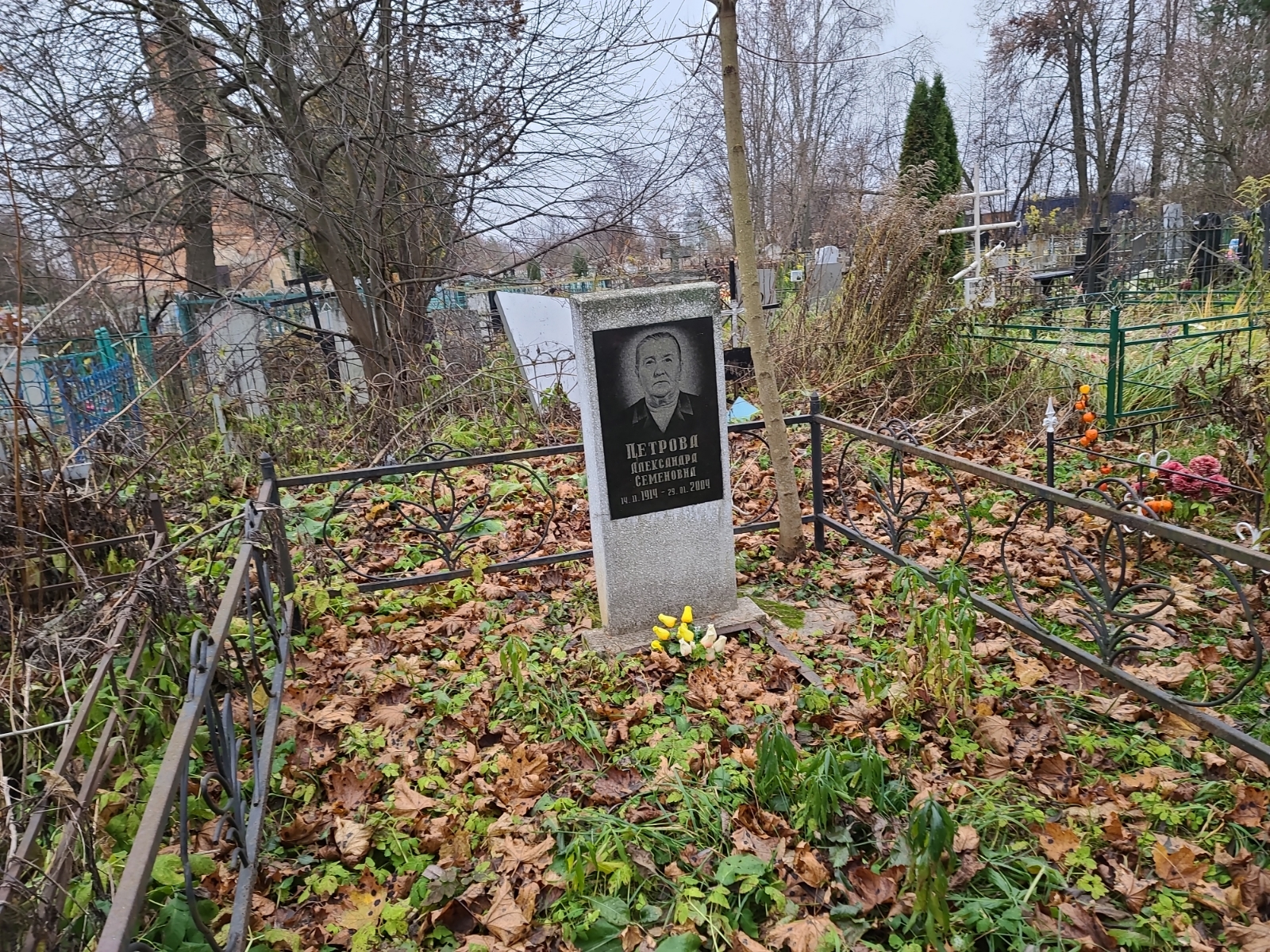 Петрова Александра Семеновна