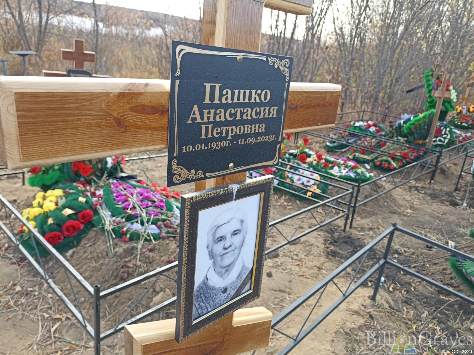 Пашко Анастасия Петровна