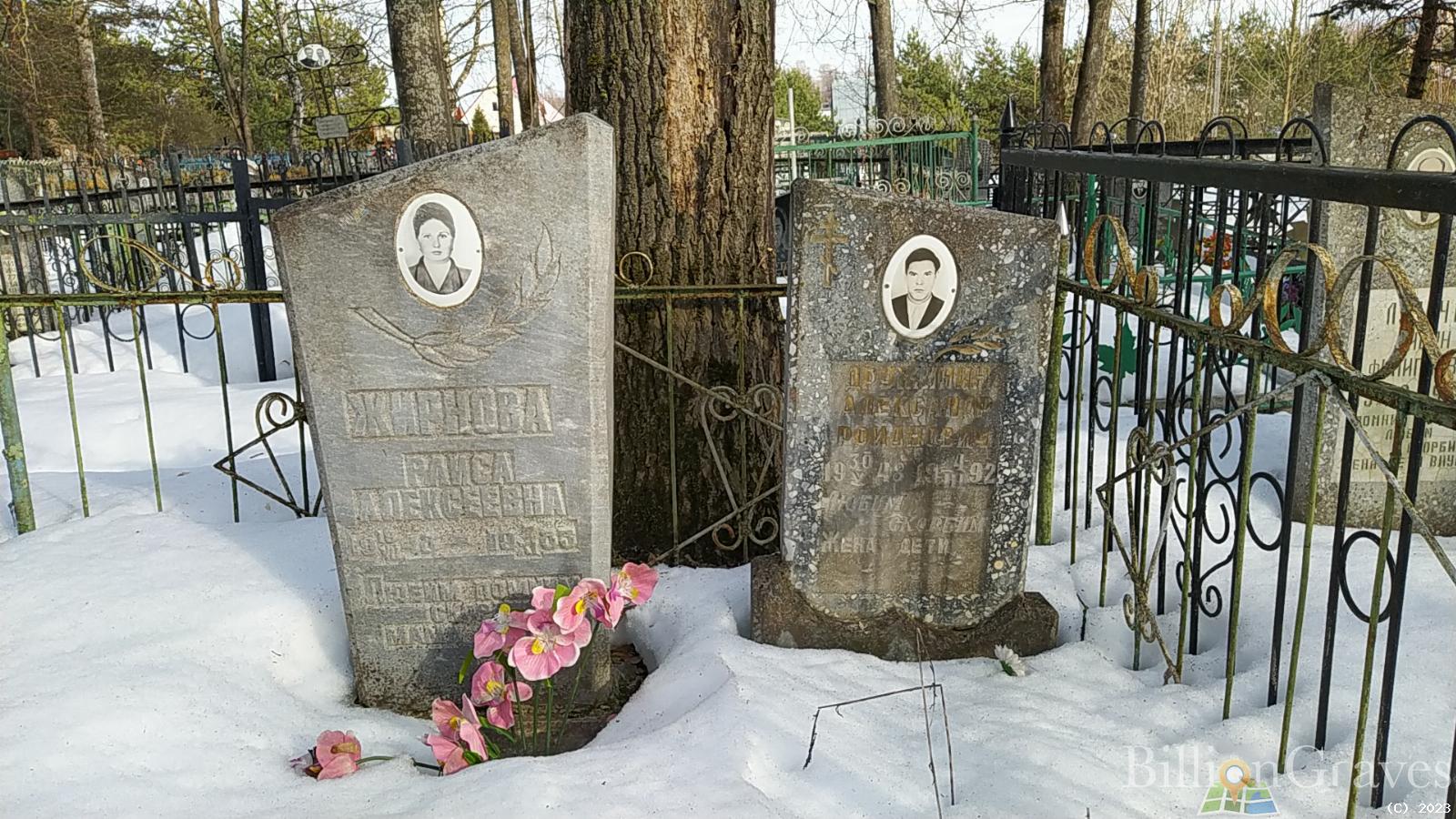 Дружинин Александр Романович