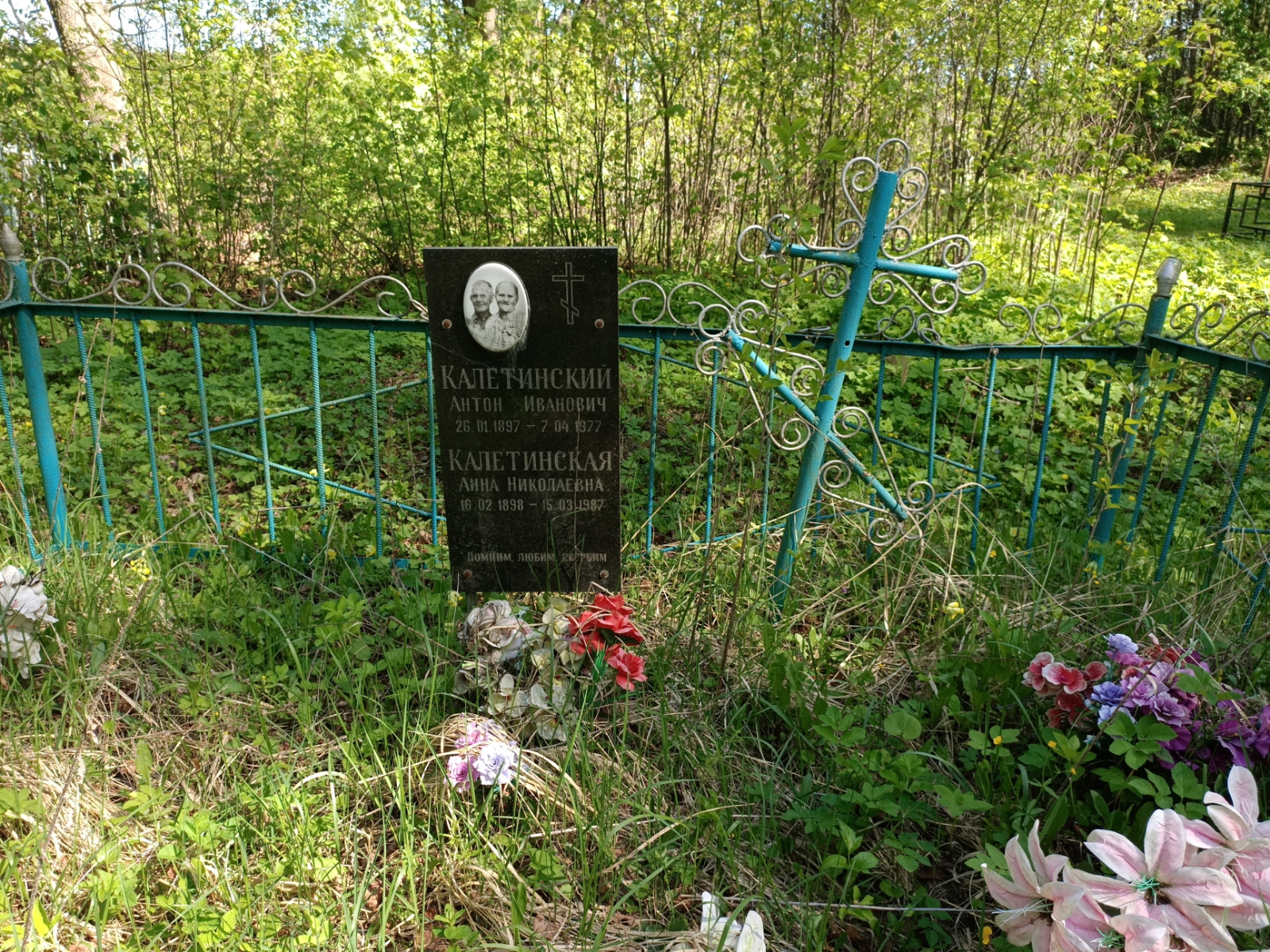Калетинская Анна Николаевна