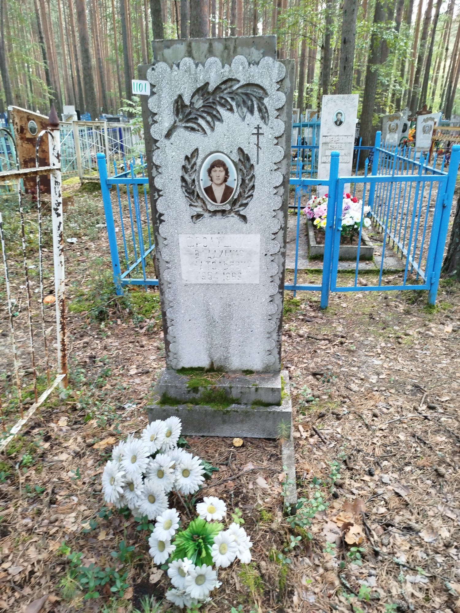 Фролушкин Владимир Анатольевич