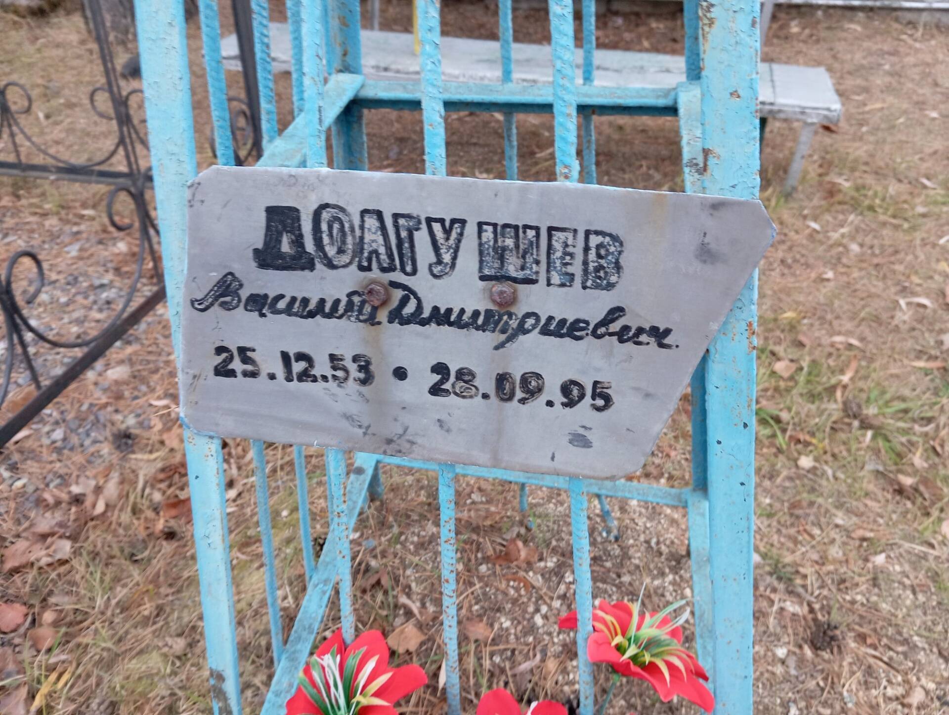 Долгушев Василий Дмитриевич