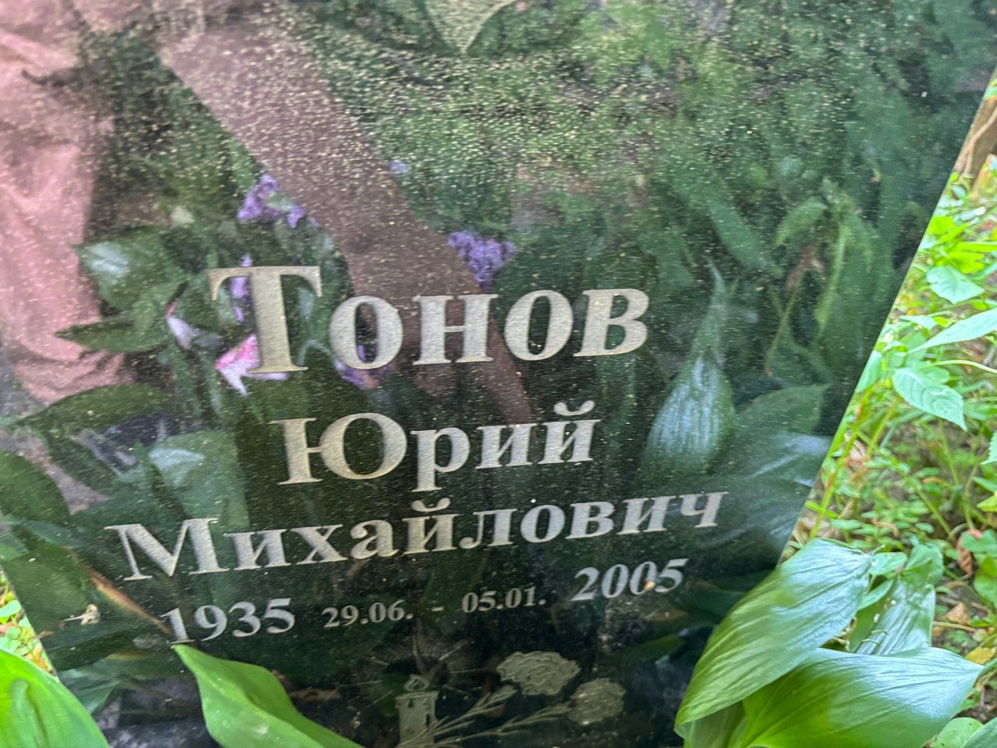 Тонов