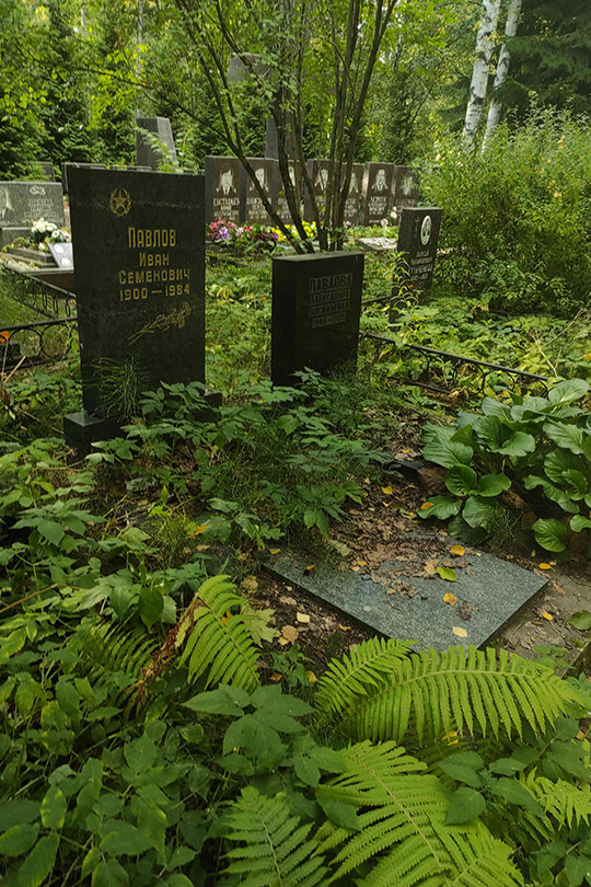 Павлова Александра Васильевна