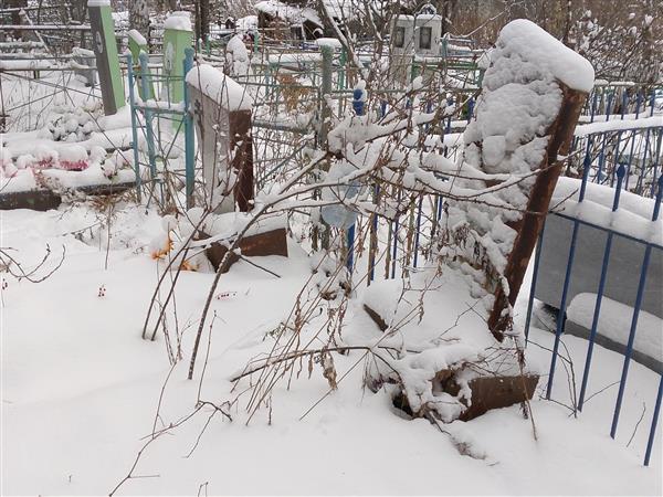 Трепачко Татьяна Ивановна