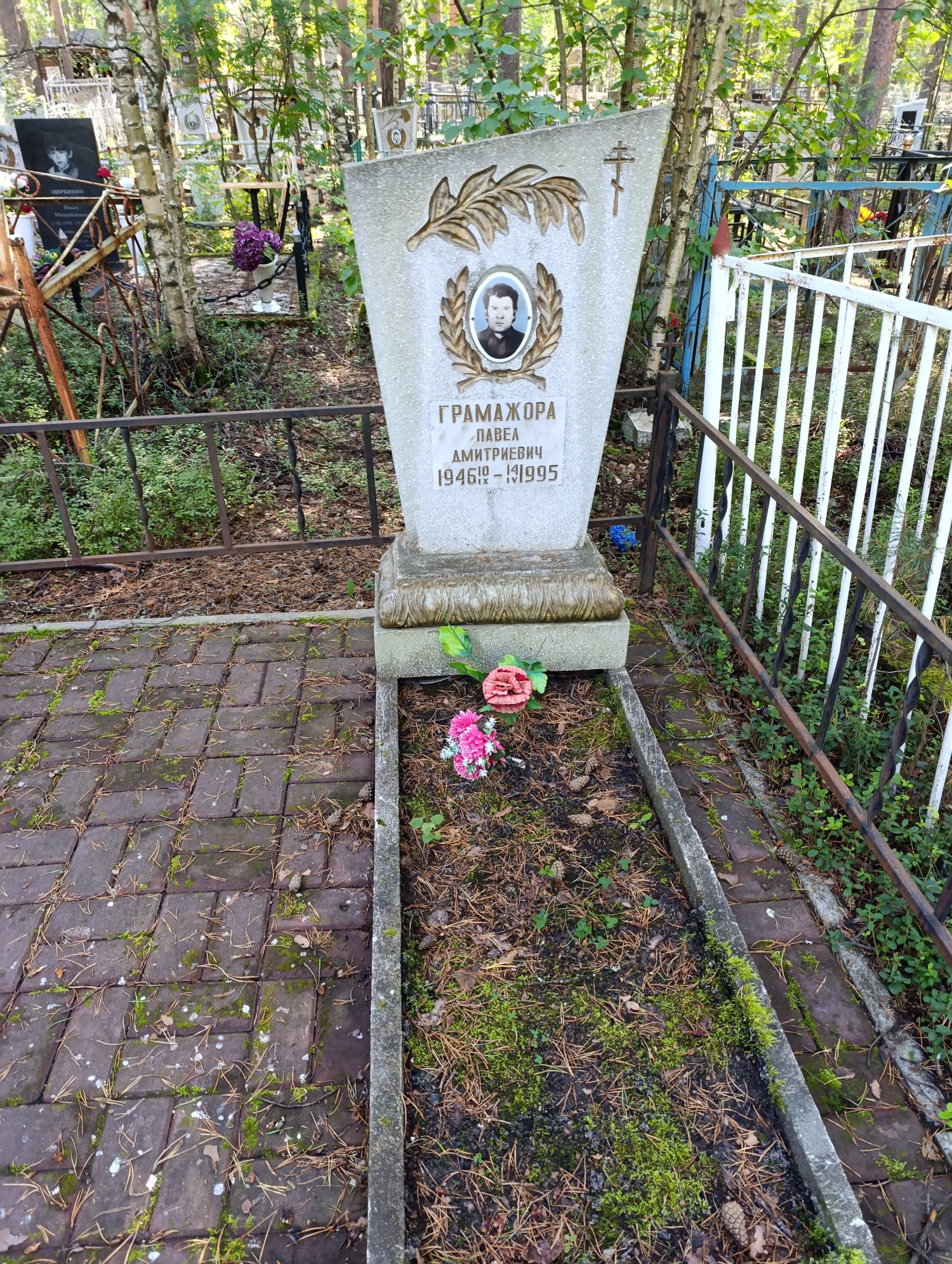 Грамажора Павел Дмитриевич