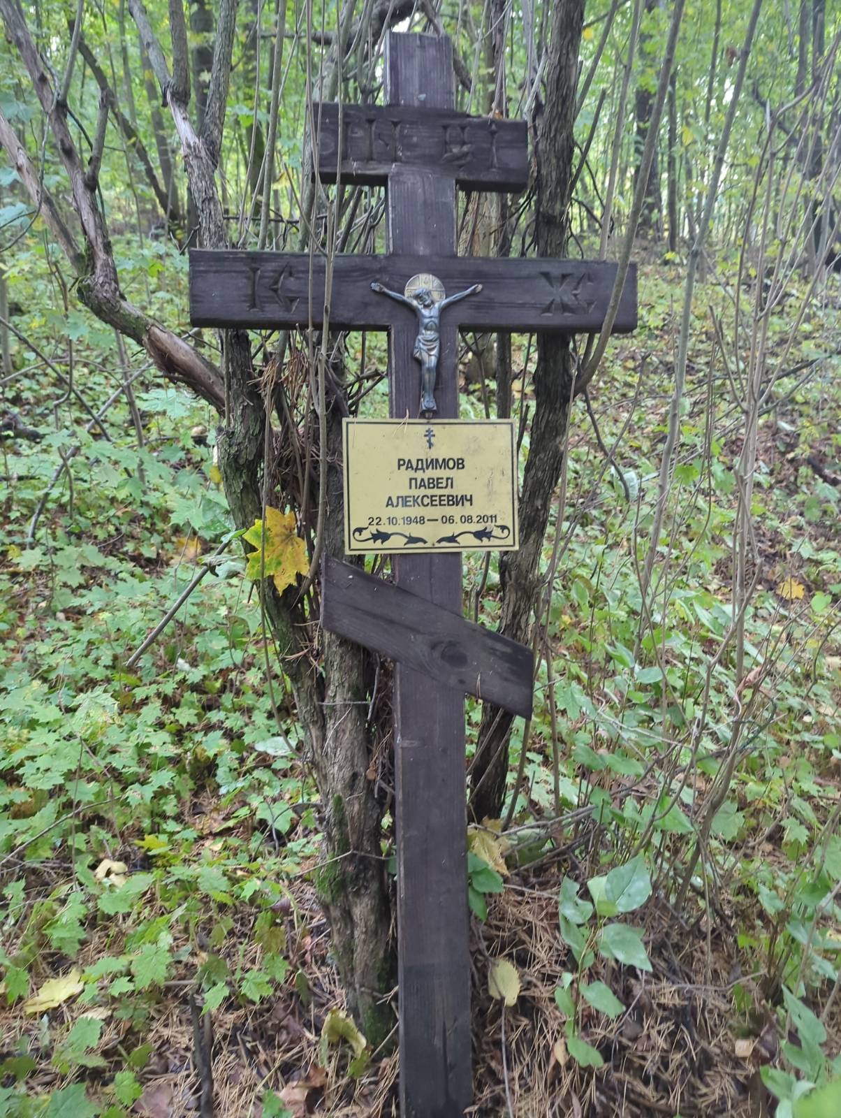 Радимов Павел Алексеевич