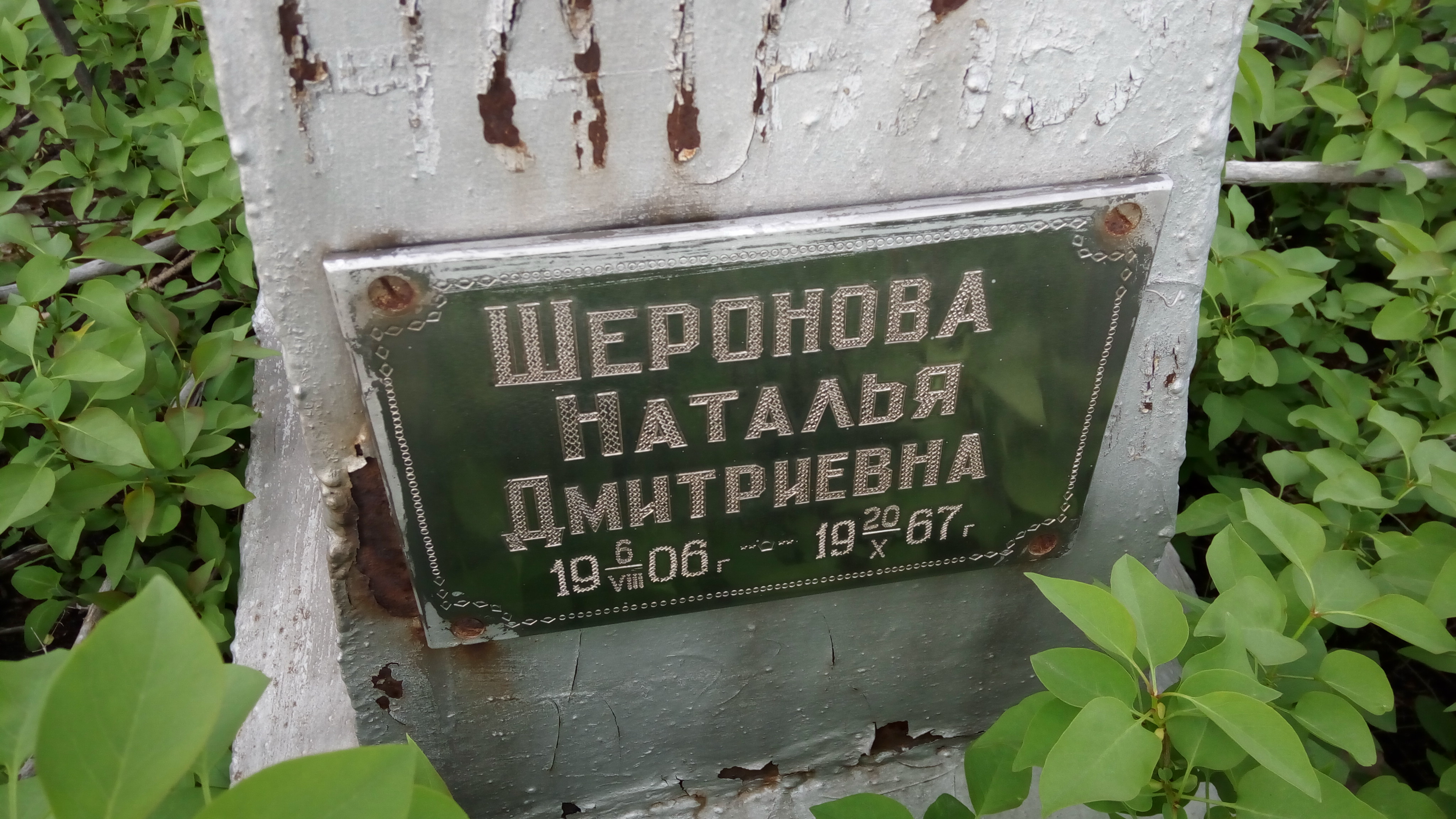 Шеронова Наталья Дмитриевна