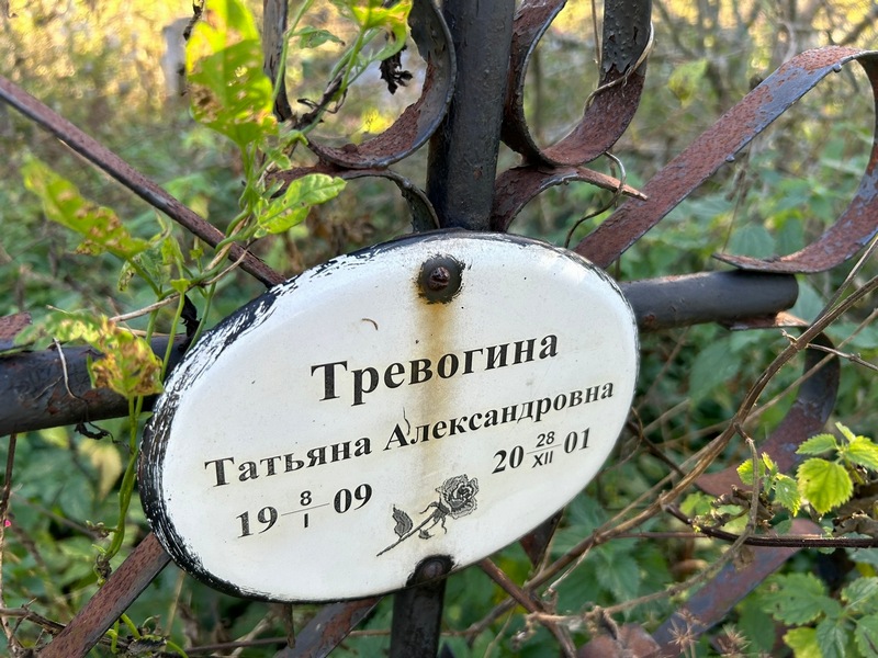 Тревогина