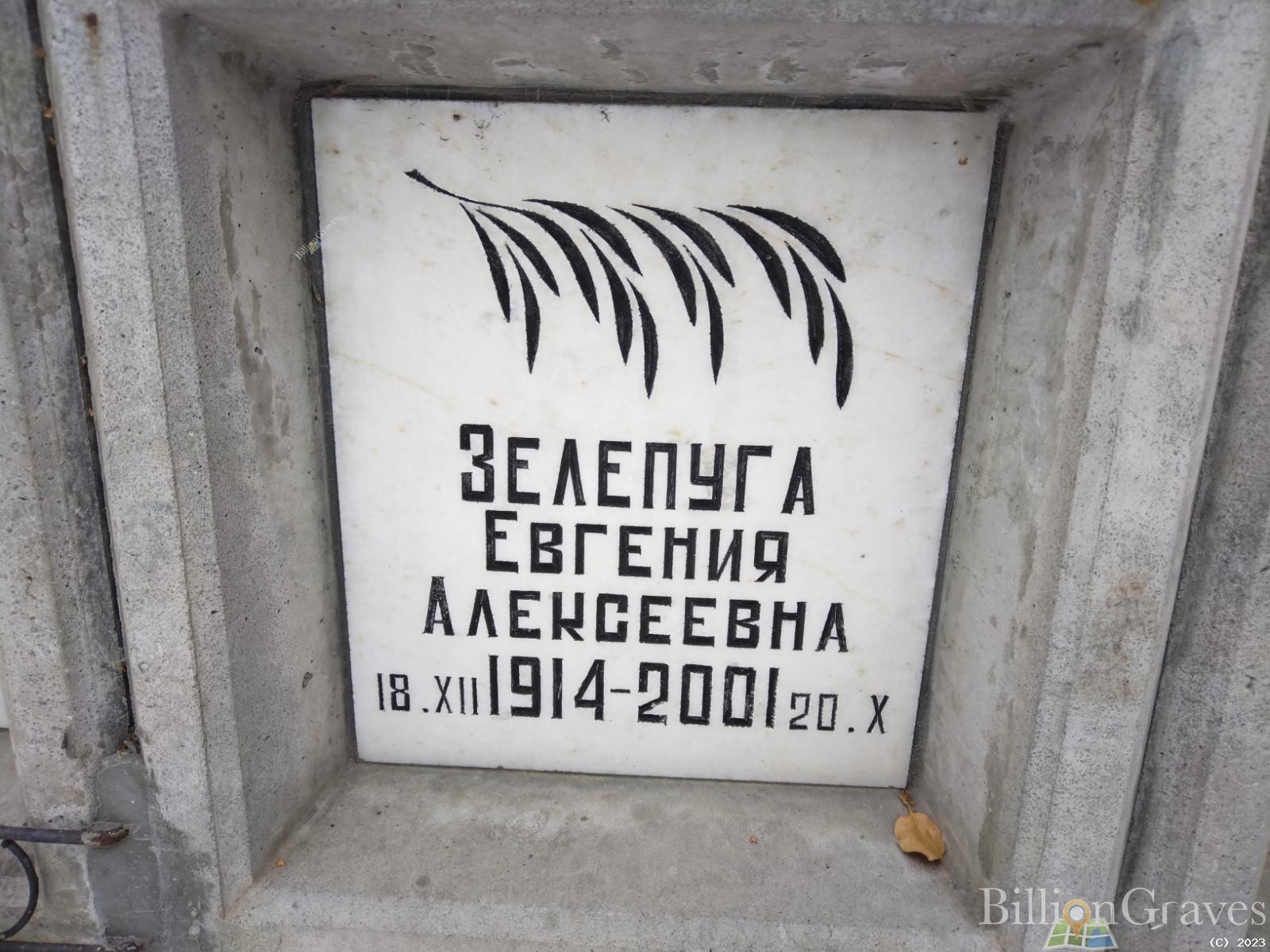 Зелепуга Евгения Алексеевна