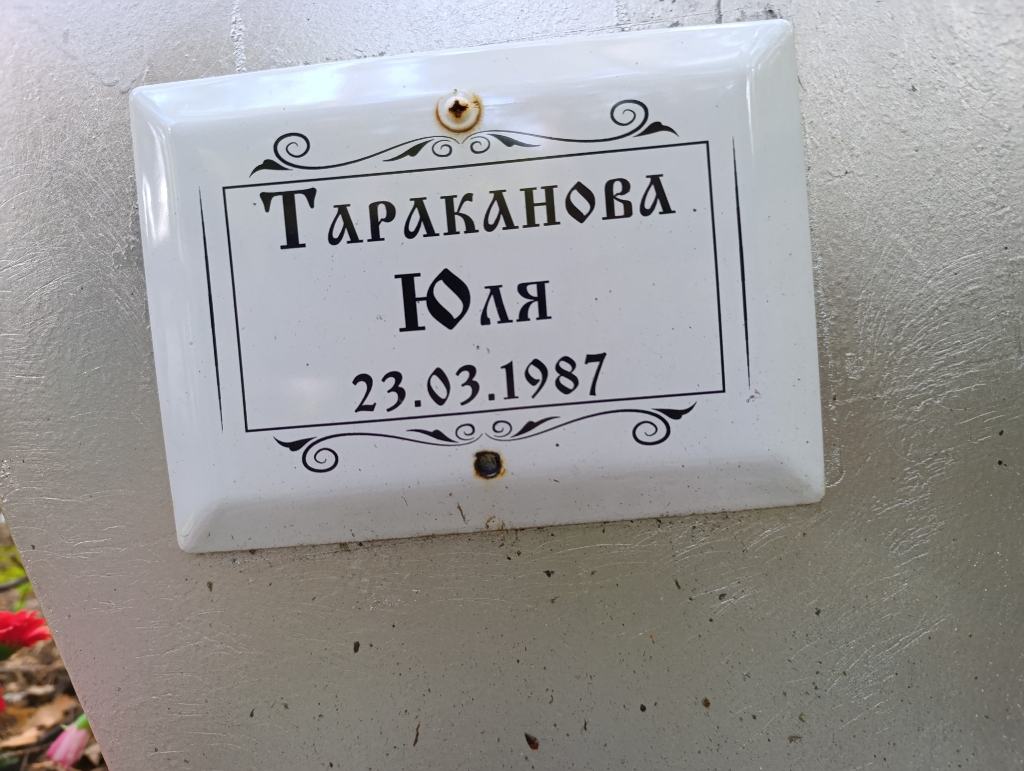 Тараканова Юлия