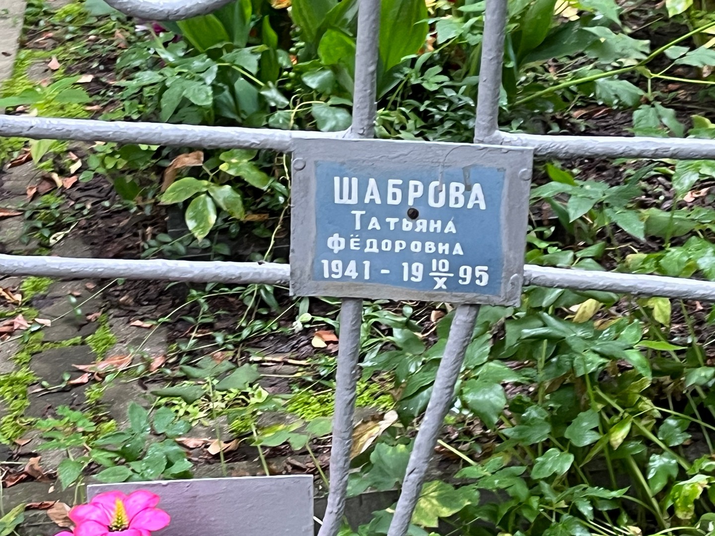 Шаброва