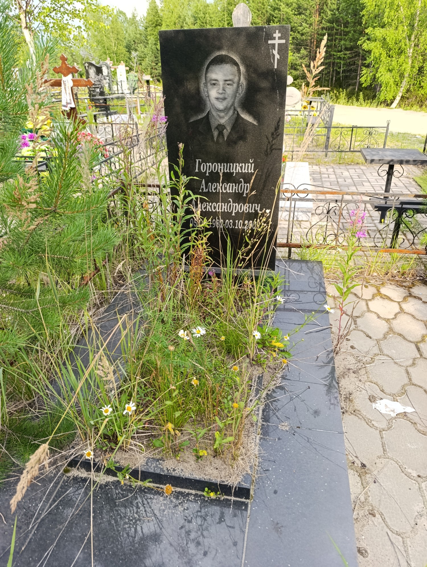 Гороницкий Александр Александрович