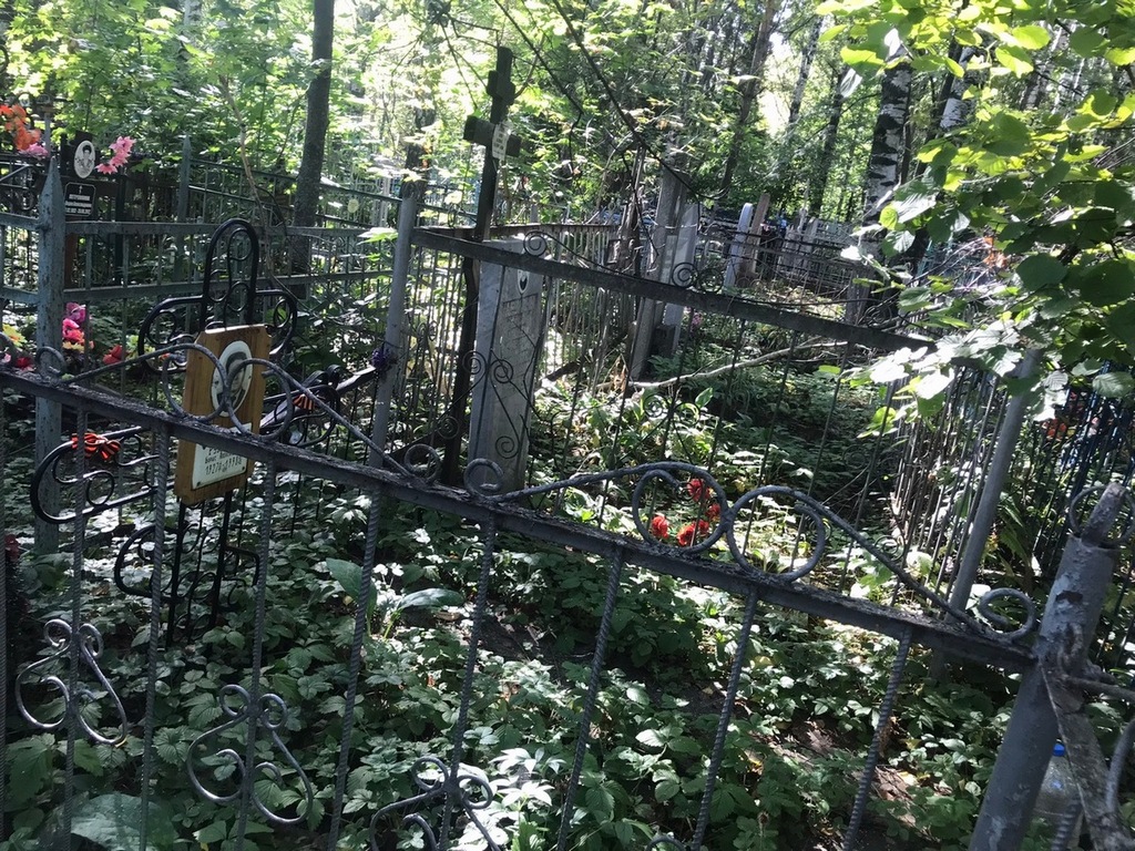 Румянцев Борис Александрович