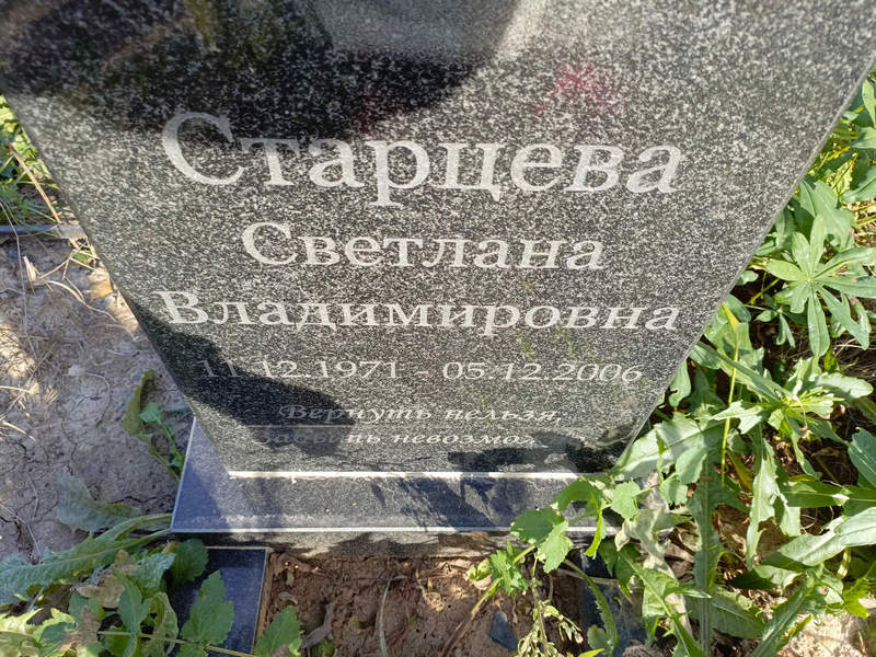 Старцева