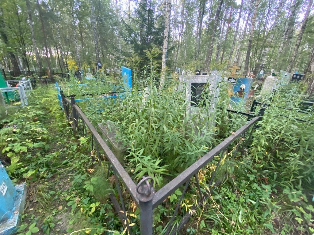 Ларгина Мария Алексеевна