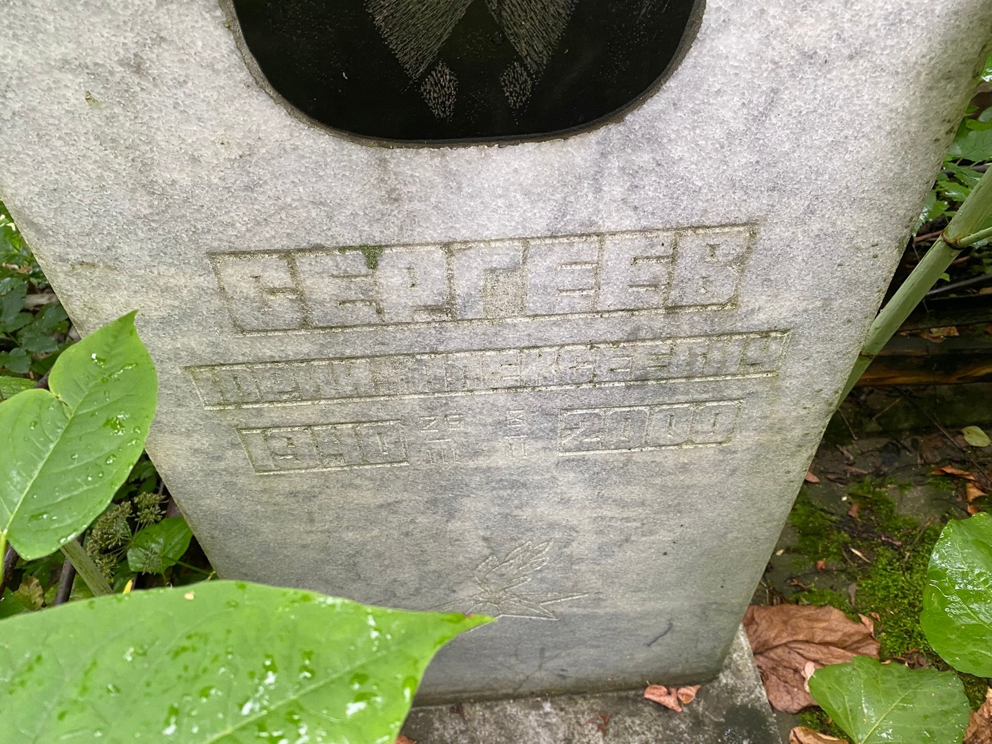 Сергеев