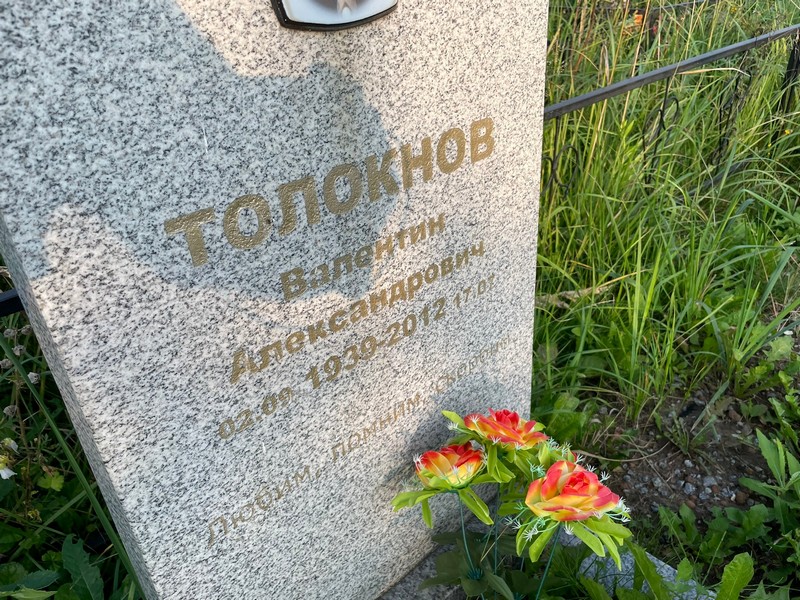 Толокнов