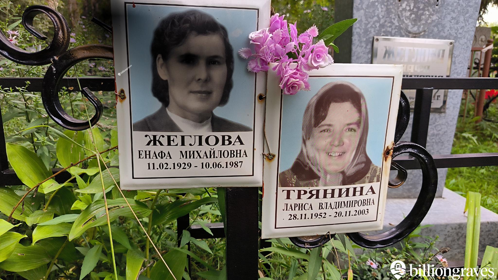 Жеглова Енафа Михайловна