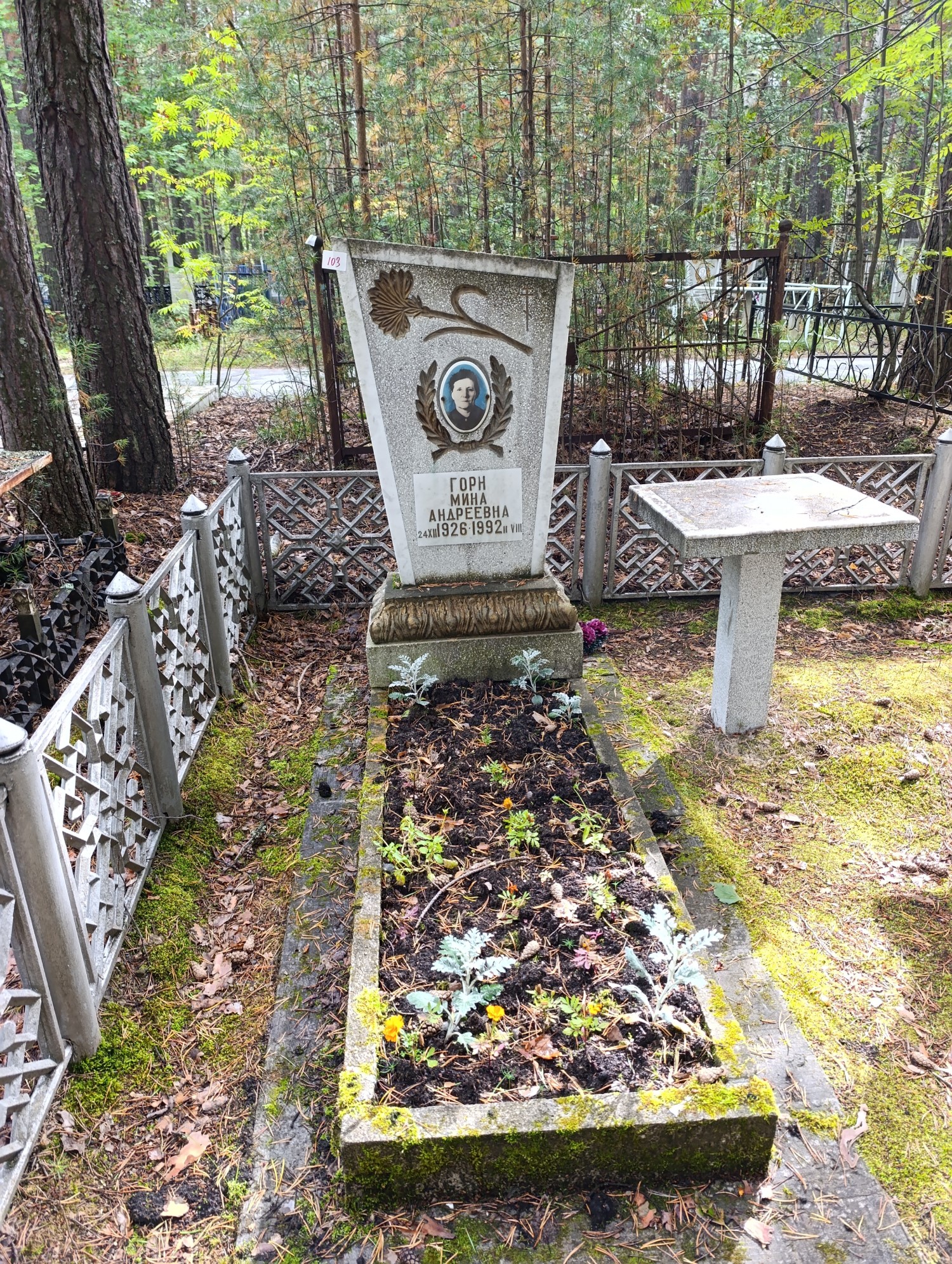 Горн Мина Андреевна