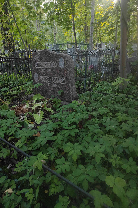 Синицына Е. А.