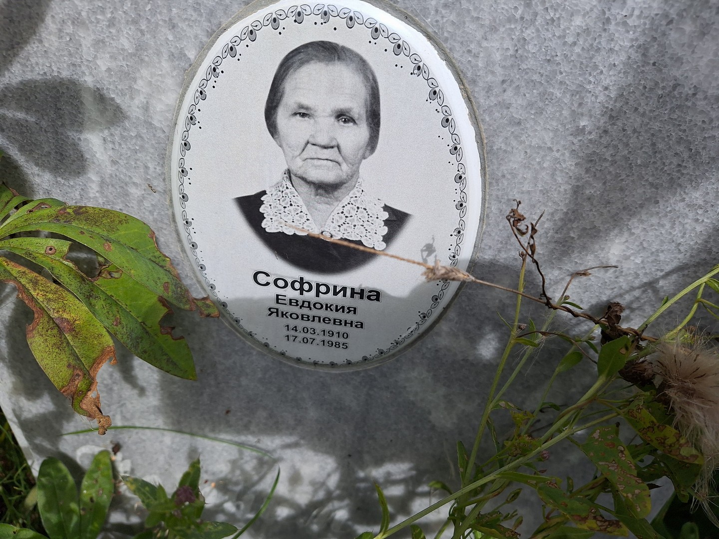 Софрина