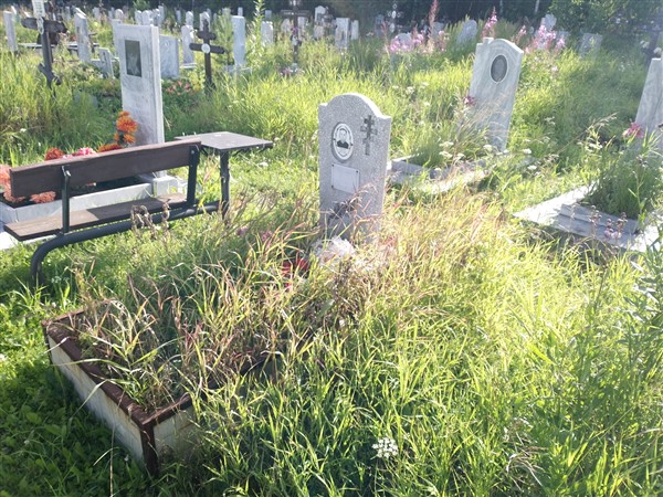 Соколов Федор Абдеевич