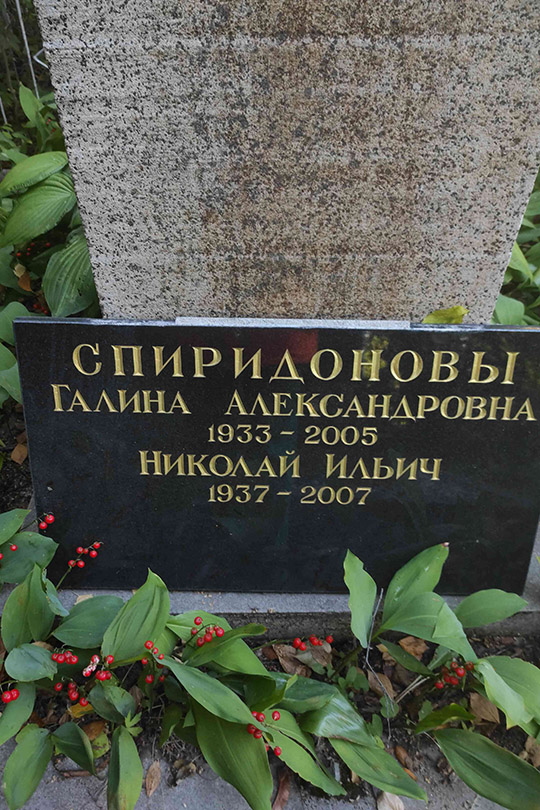 Спиридонов Николай Ильич