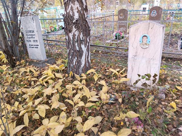 Бабичева Ирина Михайловна