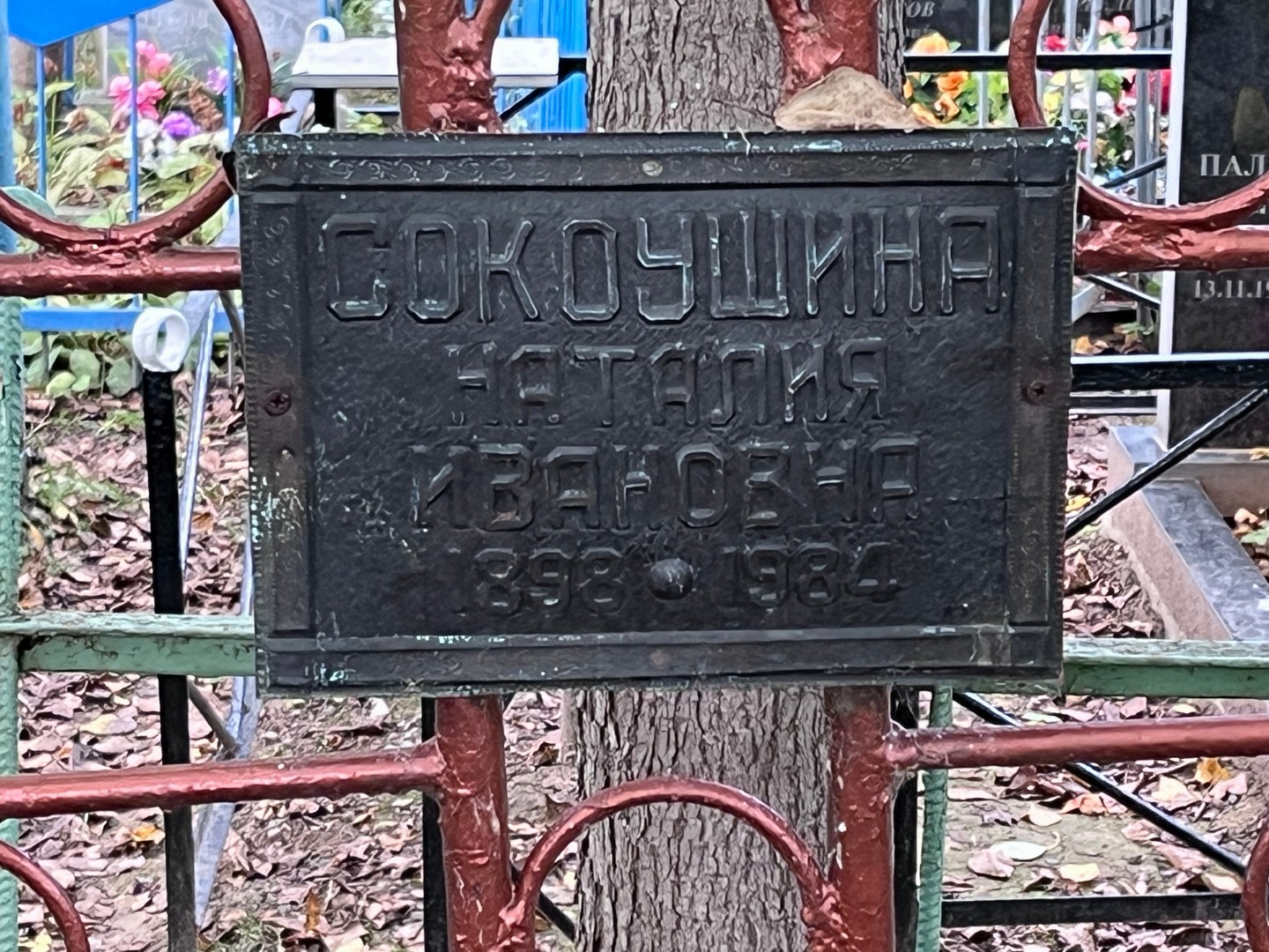 Наталия Сокоушина Ивановна