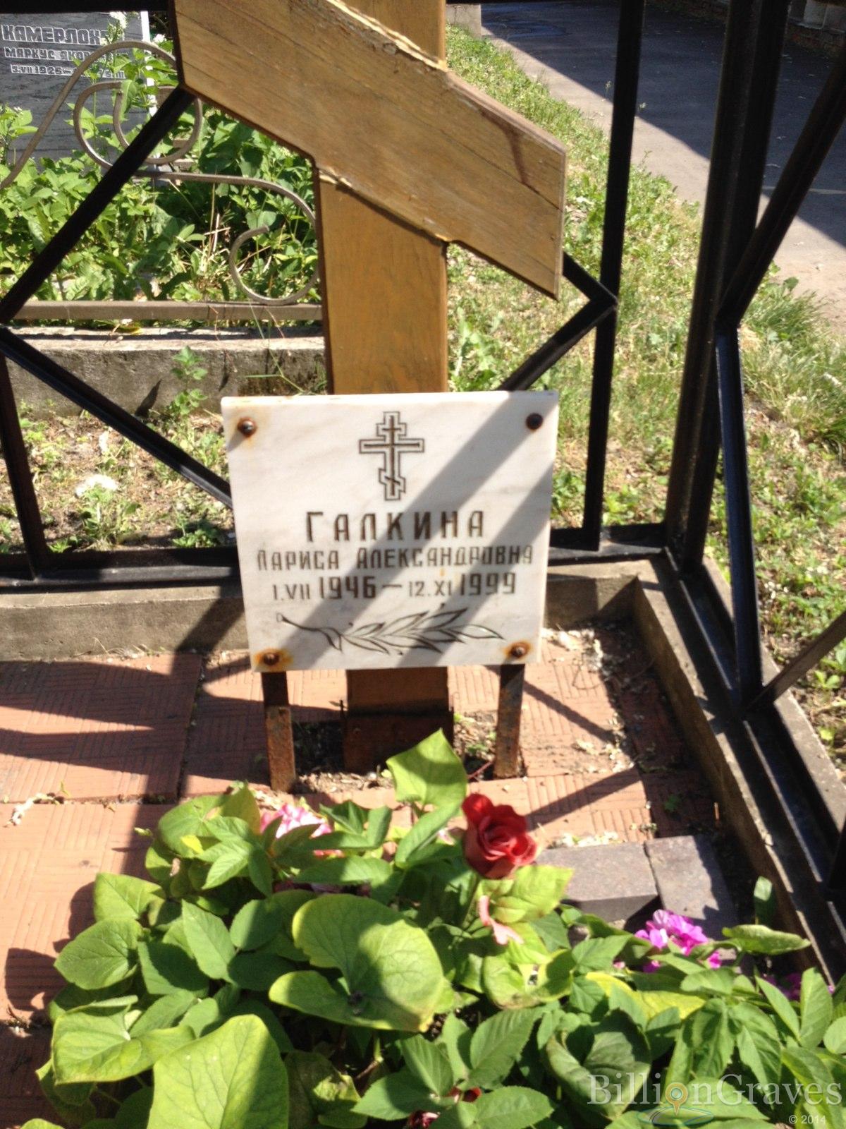 Галкина Лариса Александровна