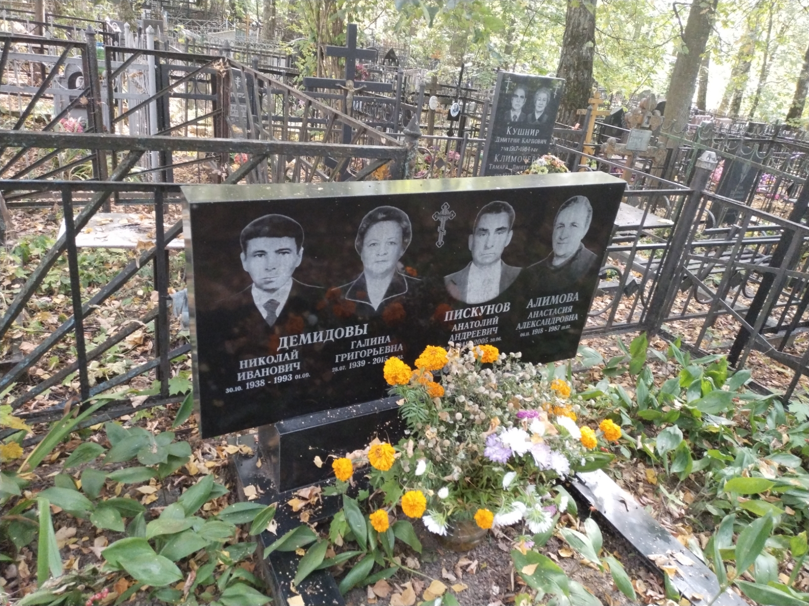 Алимова Анастасия Александровна