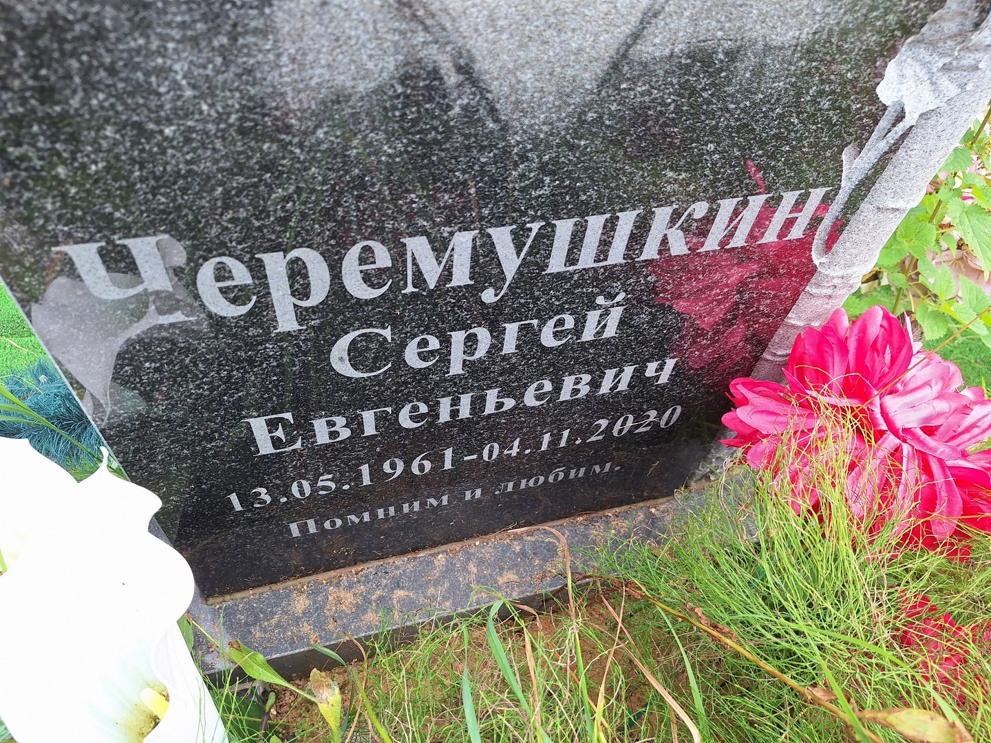 Черемушкин