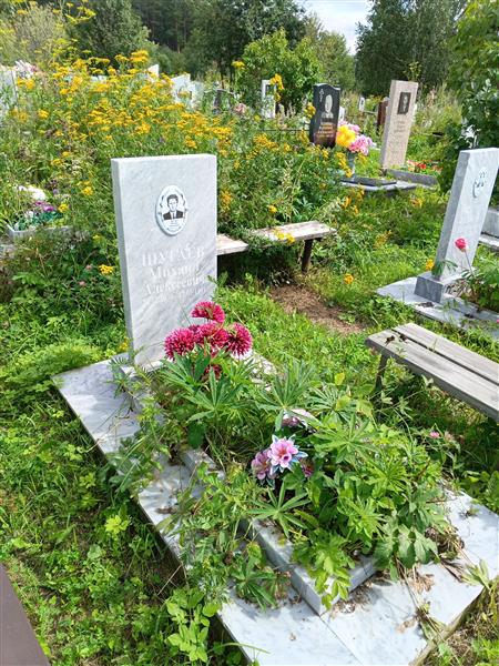 Шугаев Михайл Алексеевич