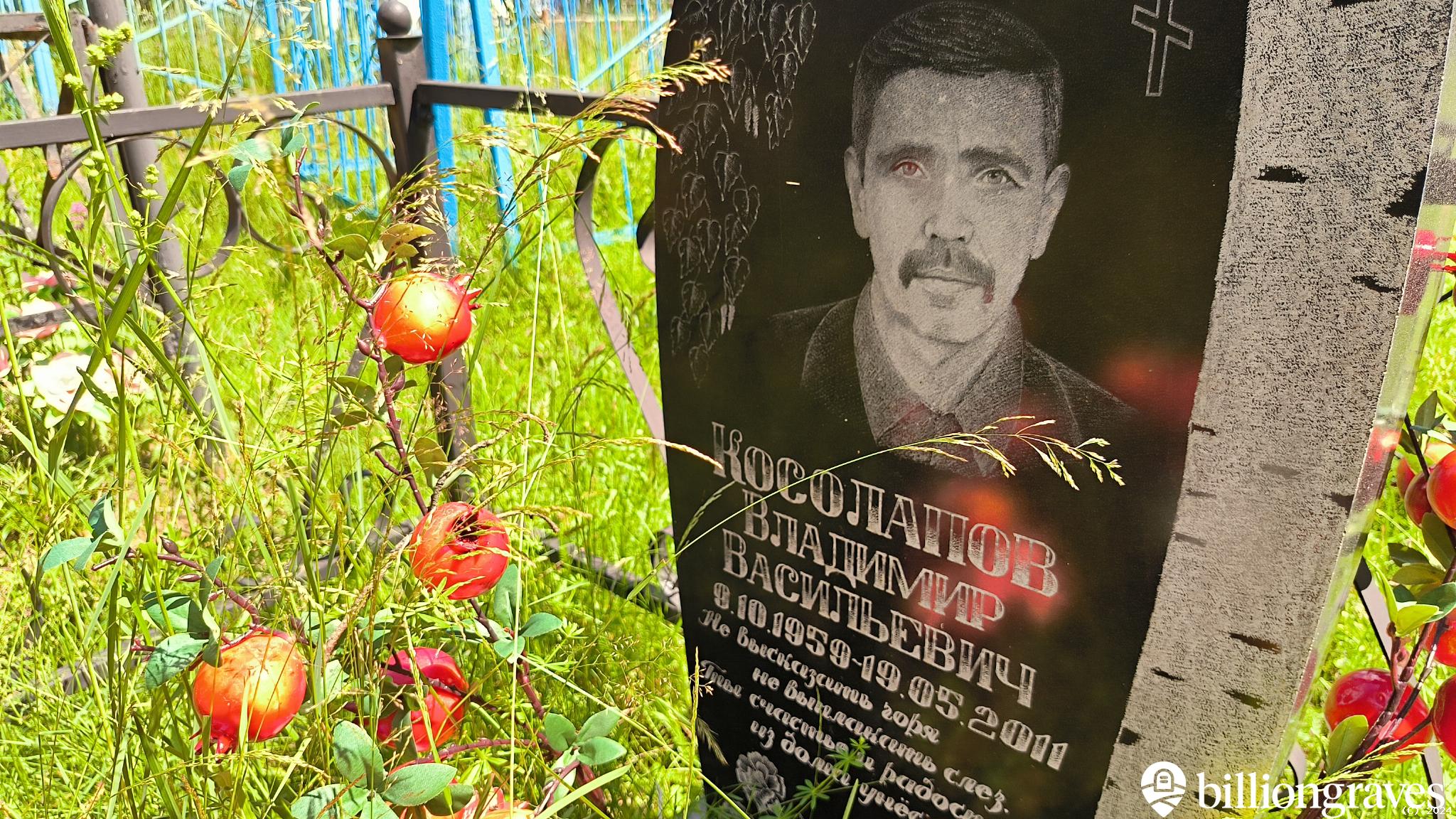 Косолапов Владимир Васильевич