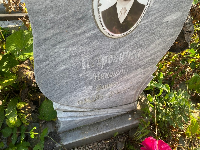 Петровичев