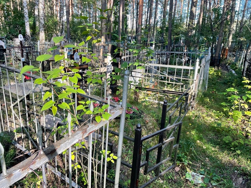 Протасов Александр Николаевич