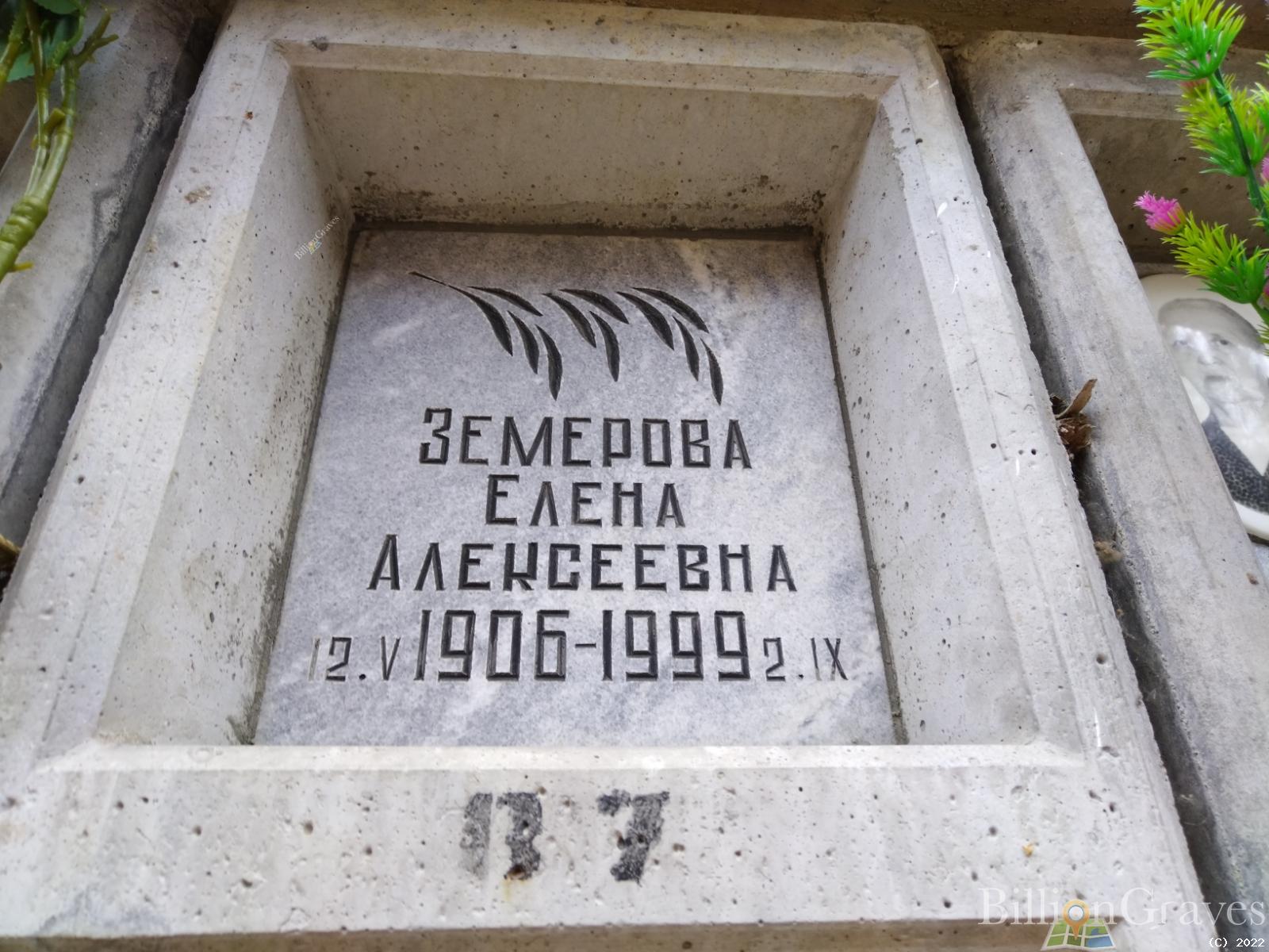 Земерова Елена Алексеевна