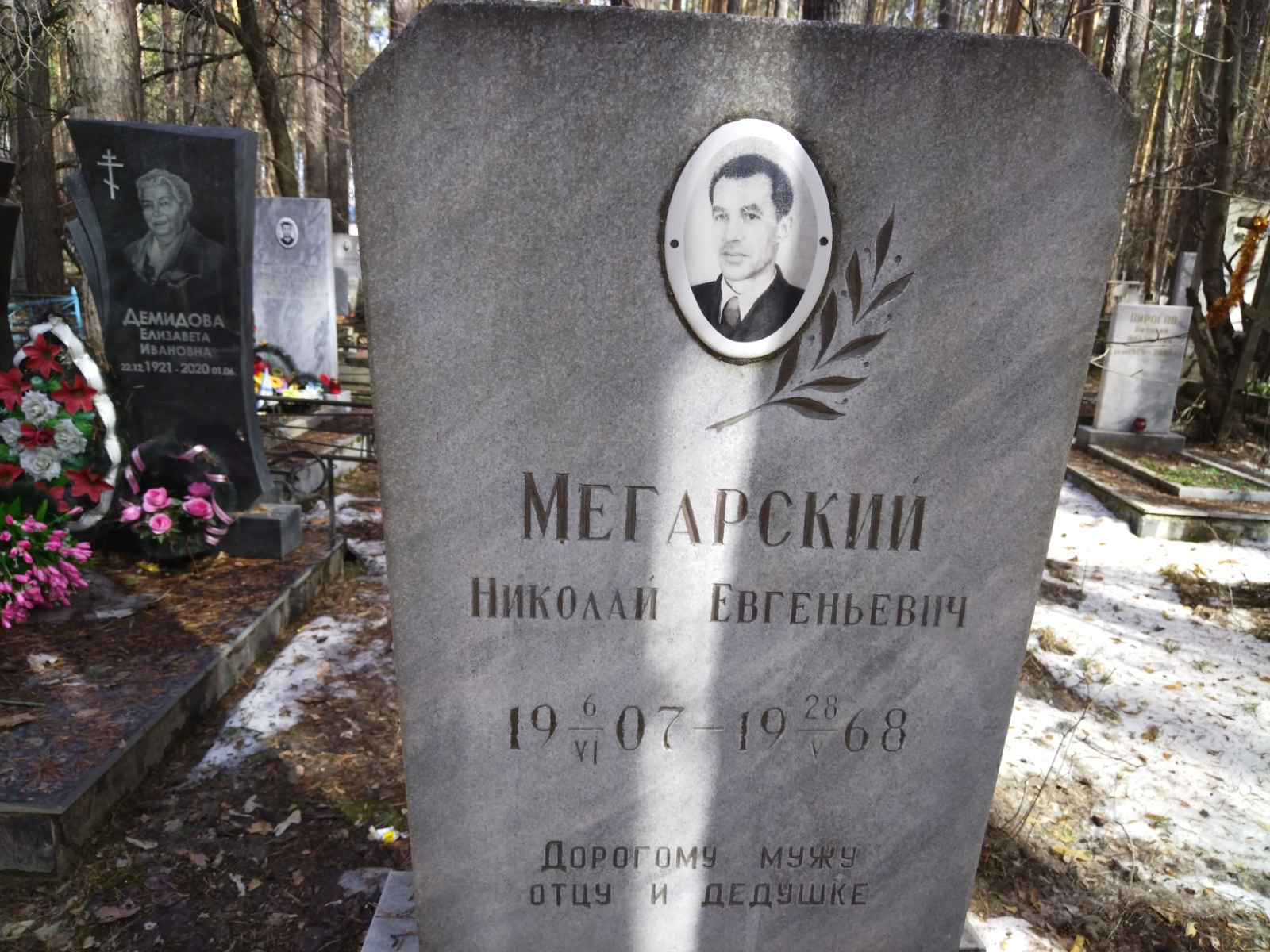 Мегарский Николай Евгеньевич