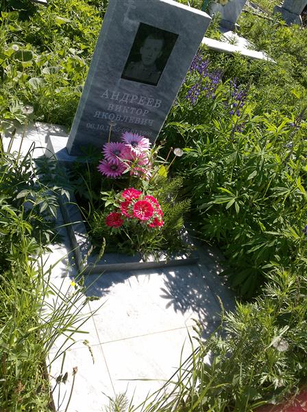Андреев Виктор Яковлевич