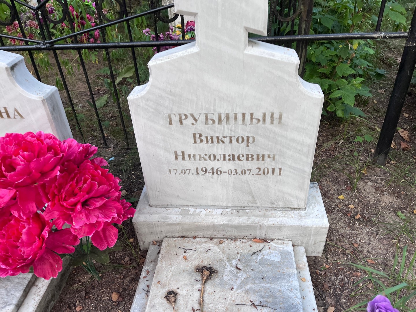 Трубицын