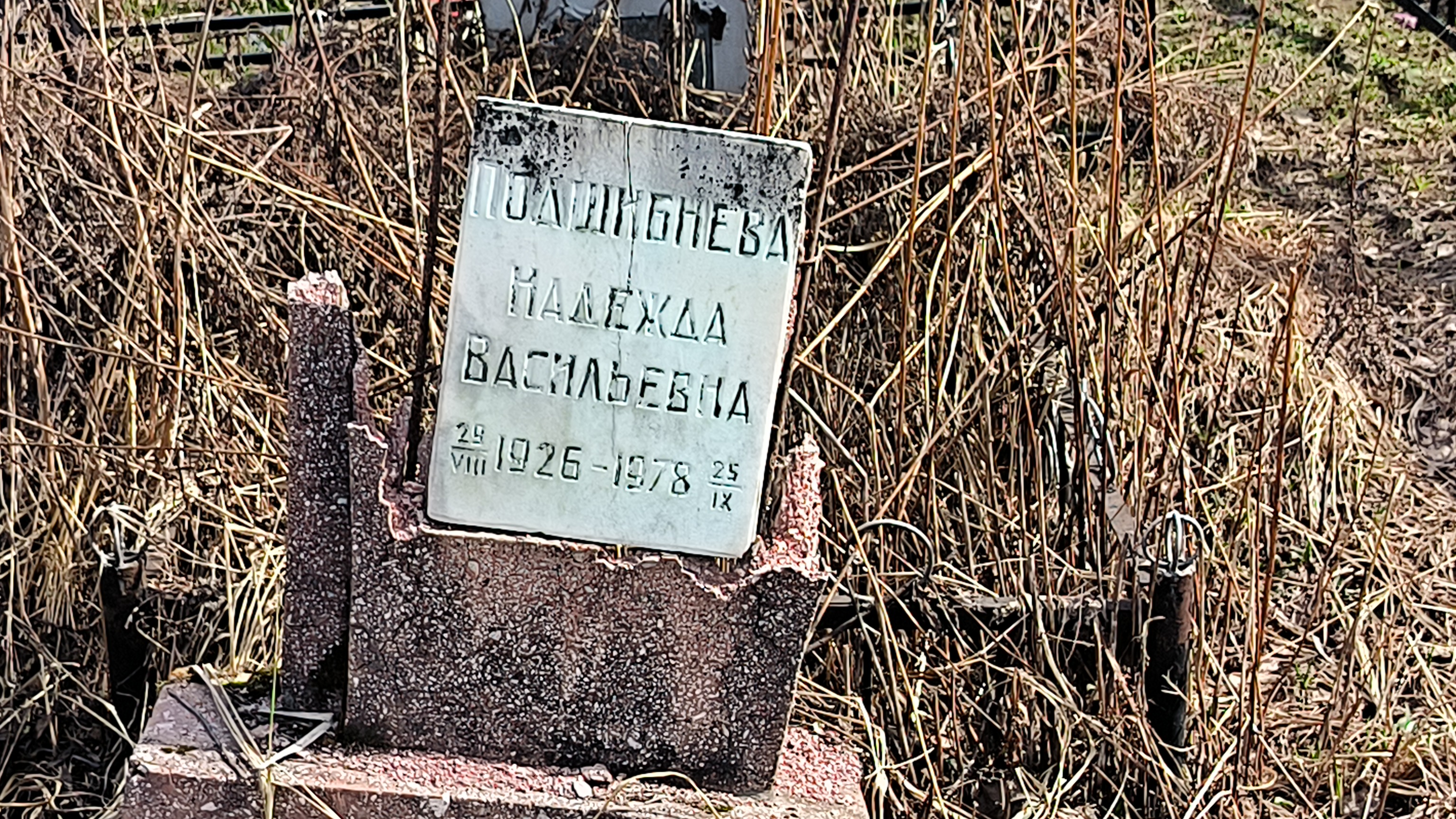 Подшибнева Надежда Васильевна