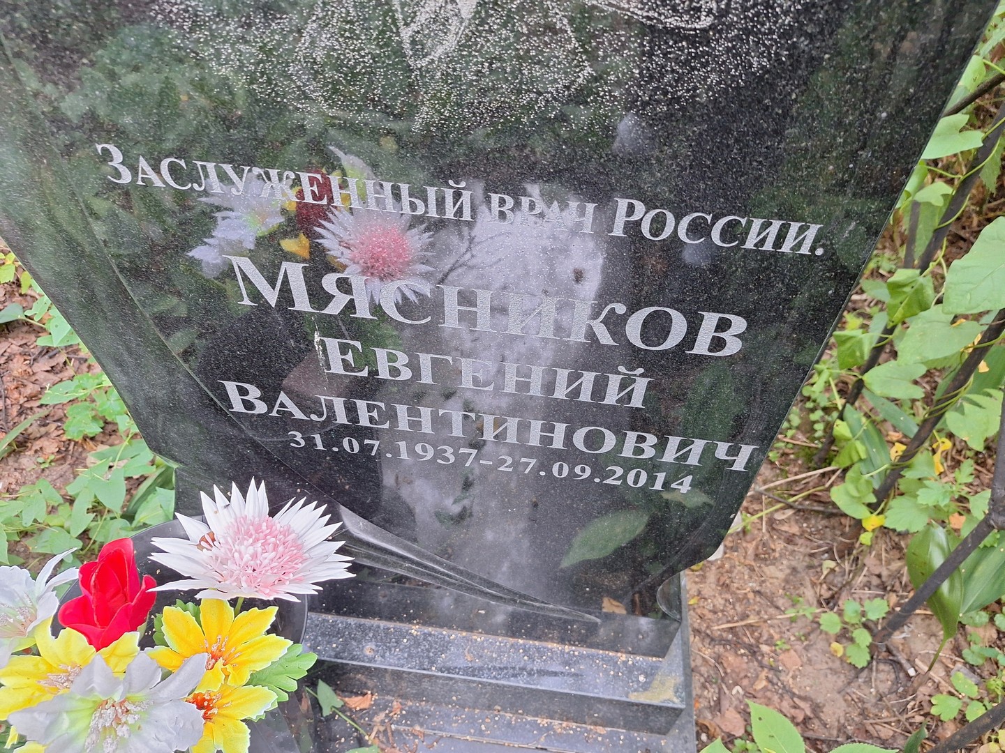 Мясников