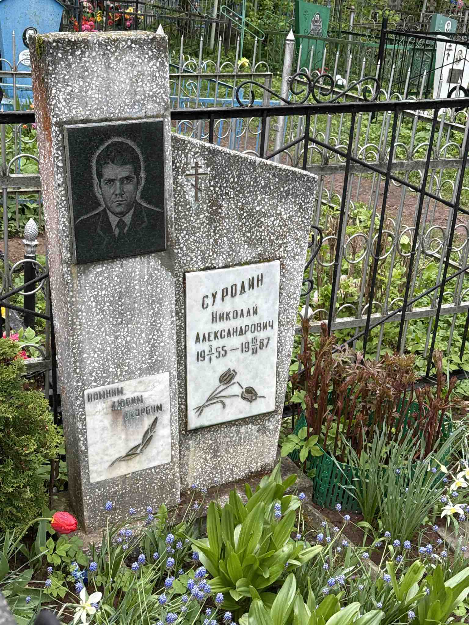 Суродин Николай Александрович
