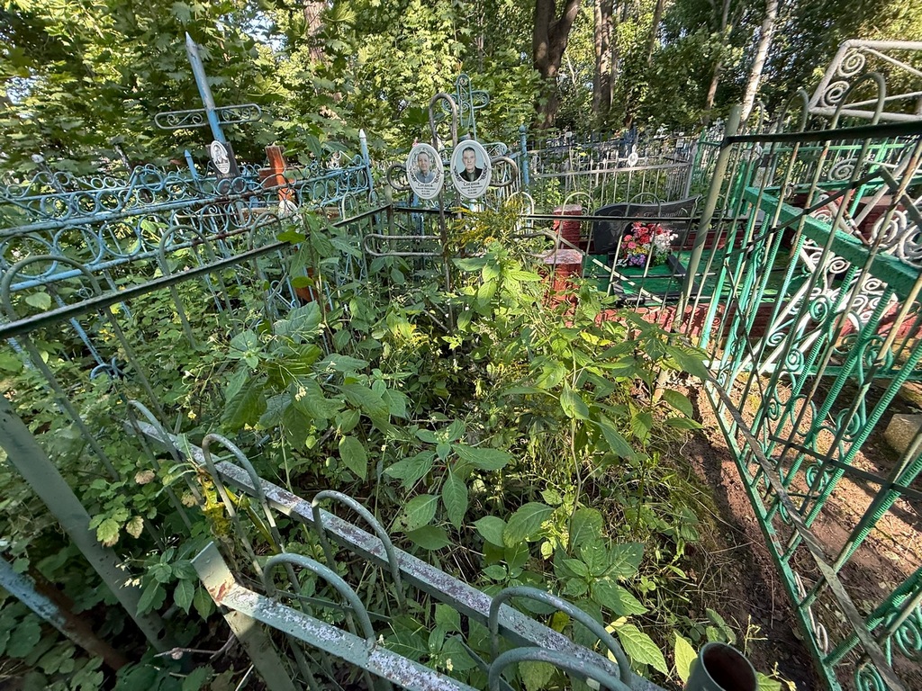 Сееднов Николай Николаевич