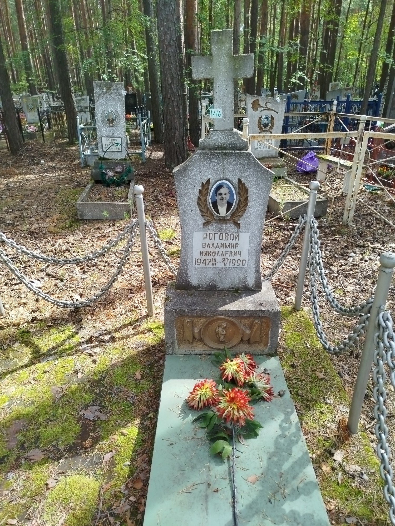 Роговой Владимир Николаевич
